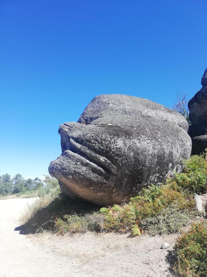 Sambuc'Asa - Serra Da Estrela Sabugueiro  Dış mekan fotoğraf