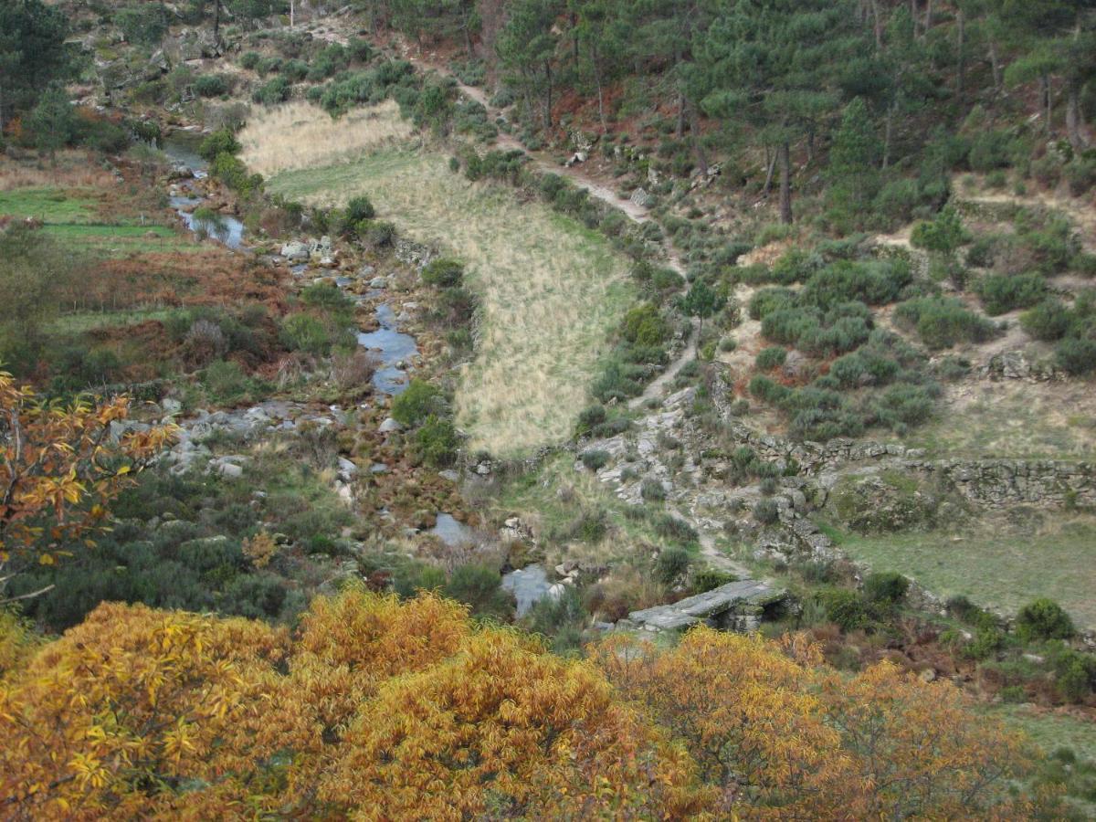 Sambuc'Asa - Serra Da Estrela Sabugueiro  Dış mekan fotoğraf