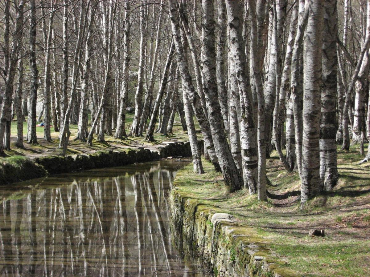 Sambuc'Asa - Serra Da Estrela Sabugueiro  Dış mekan fotoğraf